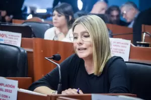 Para el Movimiento Renovador lo primordial del Radicalismo es en octubre