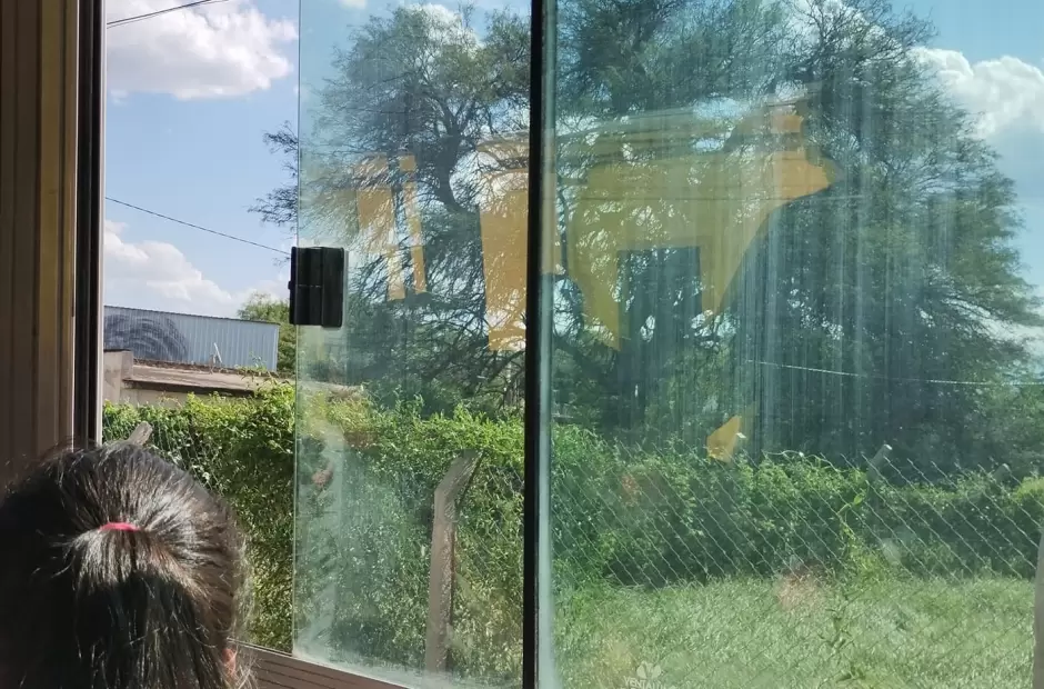 Colectivos sin cortinas