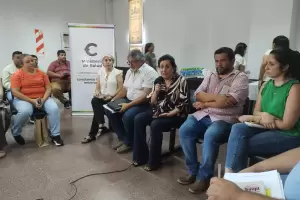 Por el avance del dengue en la regin, crearn brigadas municipales de prevencin