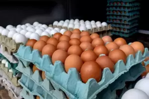 Huevos ms caros por la gripe aviar: qu pasar con el precio del pollo