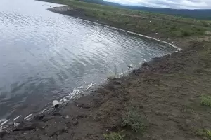 Vedaron el Dique Sumampa para la pesca deportiva luego de encontrar peces muertos