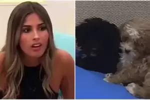 Julieta Poggio advirti sentir mal olor, acus a los perros y Marcos la enfrent: Fuiste vos, no te hagas