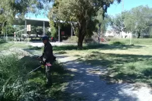 Siguen los trabajos de limpieza y mantenimiento en establecimientos educativos