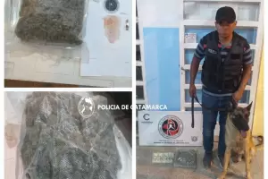 Incautaron droga en diferentes procedimientos