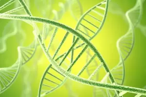 Descubrieron un total de 10.867 enfermedades poco frecuentes, un tercio ms que hace diez aos