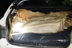 No aprenden ms: multan a un vecino por arrojar basura en El Hueco Verde