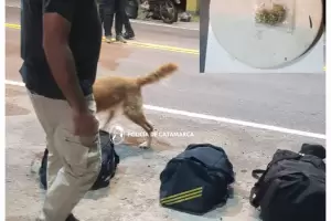 Le secuestraron marihuana en un control vehicular en Capayn