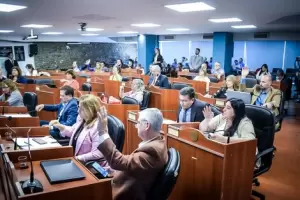 Diputados: aprob la sesin especial para tratar la denuncia de violencia contra Gordillo