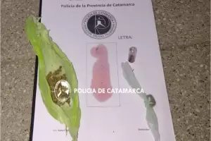 Caminaban con marihuana y terminaron arrestados