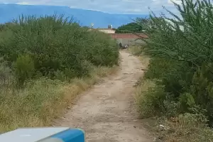 En medio del misterio, la Polica recuper ms huesos del cuerpo desmembrado en el norte