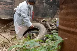 Con el calor, regresa el cronograma semanal de prevencin del dengue
