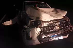 El senador provincial Jorge Sola Jais impact contra un animal en la ruta