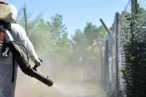 Suba de casos de dengue: se reportaron 126 positivos y Salud reconoce la existencia de una "zona roja"