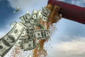 Anuncian el dlar agro y la apuesta es a que ingresen u$s4.000 millones