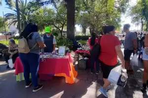 Expectativas en la Feria de Plaza 25 de Mayo: los vendedores ya esperan a los turistas