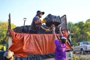 La Bodega Municipal "La Indmita" lleg al primer milln de kilos de uva en su molienda 2023
