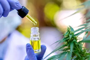 Extienden la vigencia del certificado de autorizacin para el autocultivo de marihuana con fines medicinales