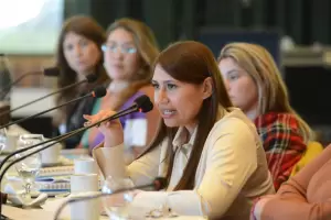 Ib��ez: �Hoy en Catamarca las mujeres pueden identificar otro tipo de violencia�