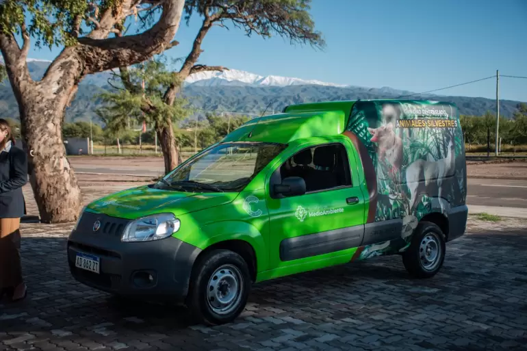 movil ambiente traslado