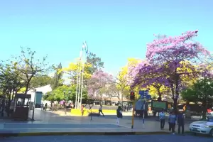 As estar el tiempo este viernes en Tucumn