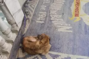 El que sabe, sabe: el refugio del callejerito a los pies del Beato Esqui�