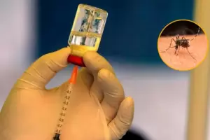 Dengue: "No quiere decir que llega la vacuna y nos olvidamos de los repelentes y las aguas estancadas"