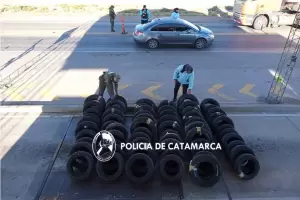 Transportaban cubiertas de forma ilegal y se las secuestraron