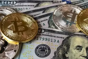 Dlar cripto se desploma y opera muy por debajo del blue