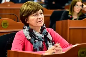 Presentaron proyectos para declarar el rechazo al DNU de Milei