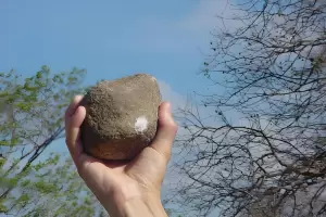 Joven atac a pedradas a efectivos policiales en el norte de la Capital