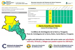Emiten Alerta Amarilla por fuertes vientos para el Oeste provincial