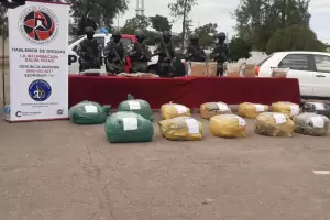 Fabiola Segura: "La droga secuestrada est valuada en alrededor de $50 millones"