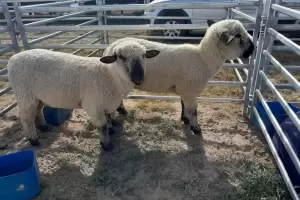 Con la recepcin de delegaciones arranc Catamarca Productiva- Expo Tech 2023