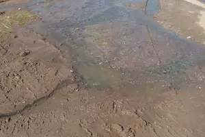 Reclamo ciudadano: "Hace 10 das que aguantamos el olor a podrido"