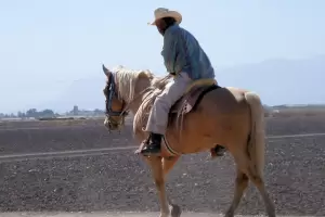 Motociclista embisti a un hombre que andaba a caballo en la Ruta Nacional N40