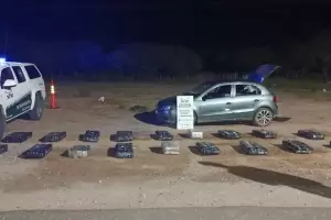 Interceptaron en La Paz un cargamento de 230 kilos de hojas de coca