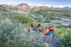 Feriado Patrio: Qu actividades se pueden hacer en la provincia