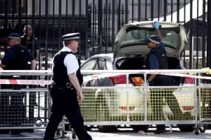 Reino Unido: un hombre choc en la entrada de Downing Street