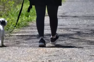 Saco a pasear a su perro y fue abusada en pleno centro