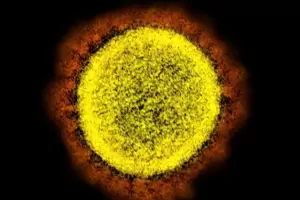 Un dato inquietante sobre el Covid abre un nuevo riesgo en el inicio de la post pandemia