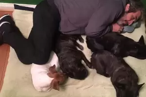 La desgarradora despedida de Ricardo Darn a su perro Ronko