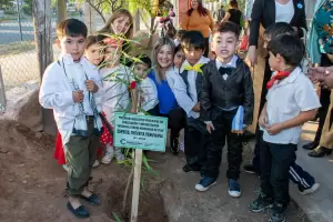 Presentaron el Programa Educativo Provincial de Forestacin y Reforestacin