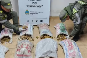 Secuestran 275 kilos de rodocrositas de un colectivo