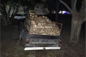 Secuestraron ms de una tonelada de lea en Andalgal