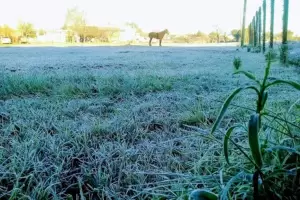 Lleg� la primera ola polar del a�o a C�rdoba