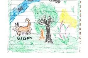 Milagro en Colombia: El emotivo dibujo que le hicieron los chicos rescatados a Wilson, el perro rastreador que sigue perdido