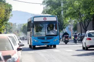 Transporte gratuito para las elecciones: qu provincias se sumaron