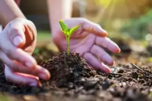 Argentina comenzar a generar deuda ambiental a partir del prximo sbado