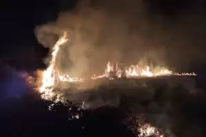 Incendio de pastizales a metros del puente de Sumalao