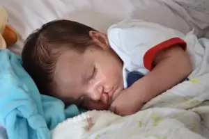 Importante avance: Descubrieron las causas de la formacin del labio leporino